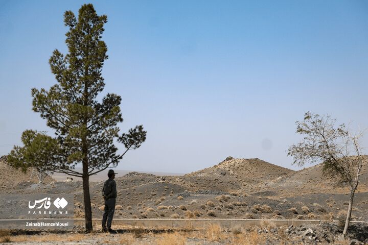 زیست بوم
