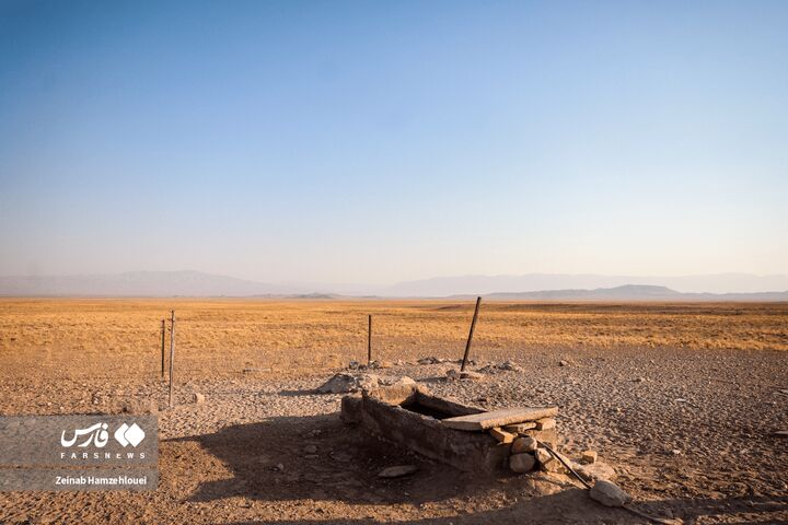 زیست بوم