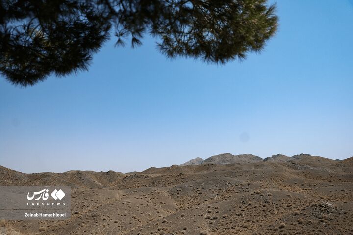 زیست بوم