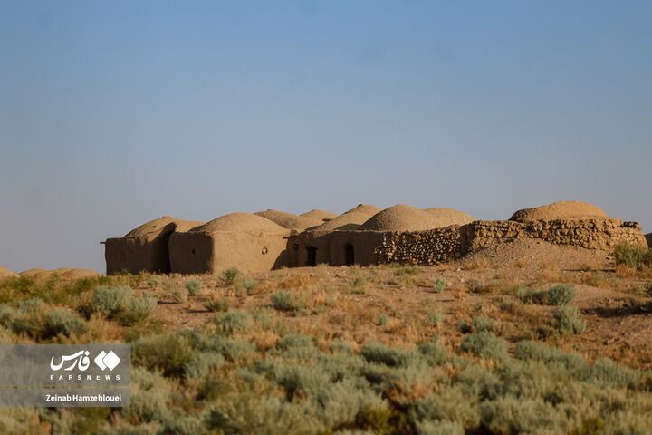 زیست بوم