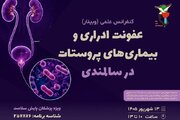 وبینار آموزشی برای ارائه دهندگان خدمات در حوزه سلامت جامعه ایثارگری برگزار شد