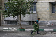 وزش باد نسبتا شدید در تهران