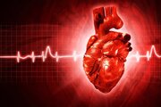 تولید دریچه قلب انسانی و ۷ داروی جدید