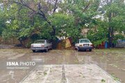 رگبار باران در ۱۴ استان