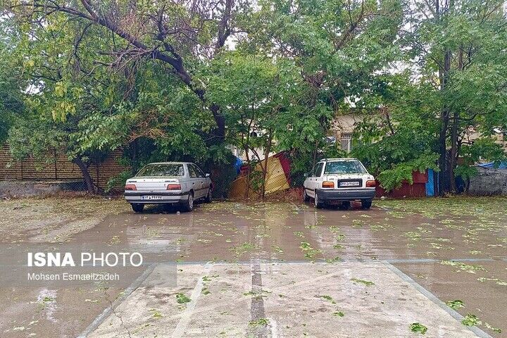 رگبار باران در ۱۴ استان