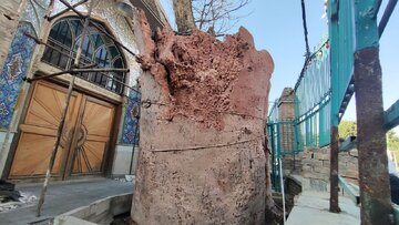 محله امامزاده یحیی نگین گمشده تهران در محاصره فراموشی و وعدها
