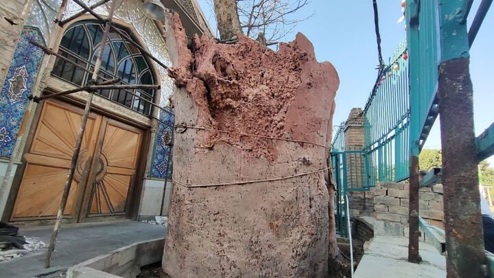 محله امامزاده یحیی نگین گمشده تهران در محاصره فراموشی و وعدها