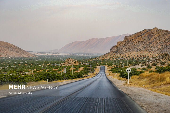 انجیر استهبان