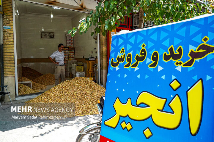 انجیر استهبان