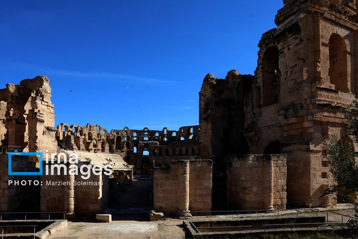 الجم