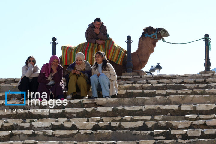 الجم