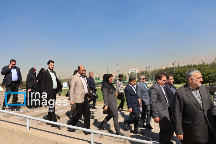 جایزه فیروزه