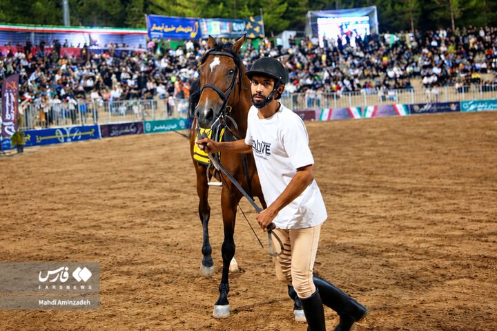 شو اسب
