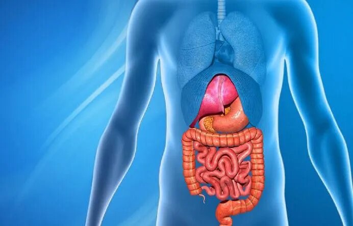 ارتباط استرس و اضطراب با برخی بیماری‌های گوارشی