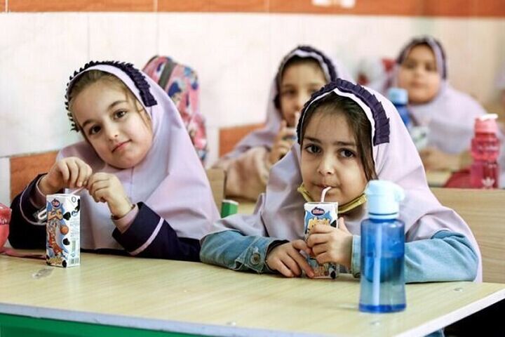 تغذیه رایگان دانش آموزان ابتدایی امسال اجرا می شود