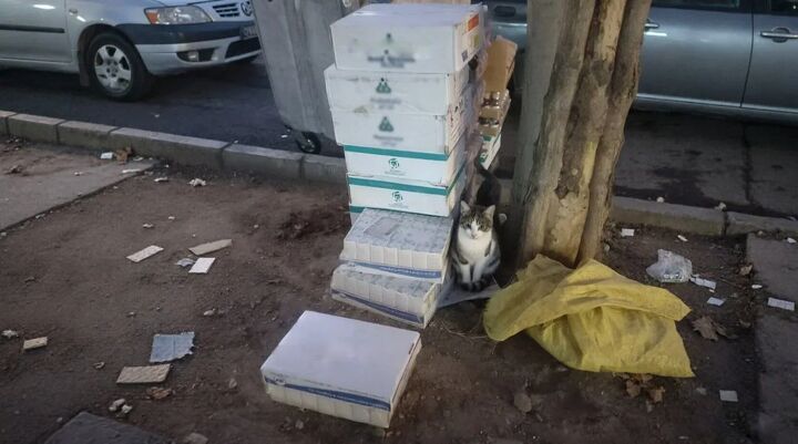 فیلم/کشف محموله چند ده میلیارد تومانی دارو در جنوب تهران