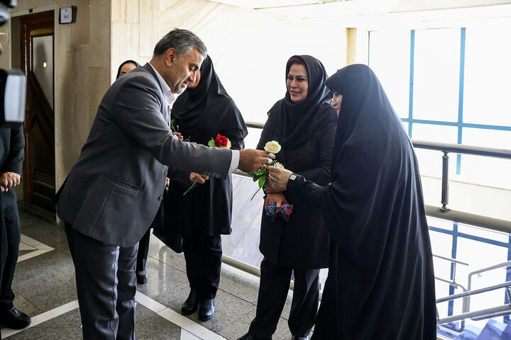 دانشگاه0