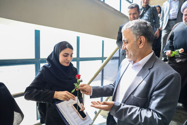 دانشگاه0