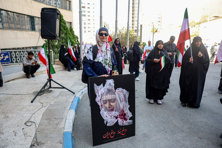 دانشگاه0