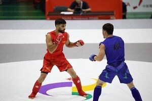 شکست و حذف هر سه نماینده ایران در رقابت های MMA