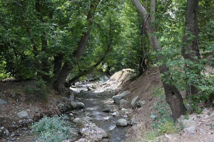 رود دره‌های تهران شریان‌های حیاتی آب و سپر اقلیمی پایتخت هستند