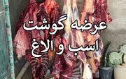کشف ۲۵۴ کیلوگرم گوشت حیوانات تک‌سمی در جنوب تهران