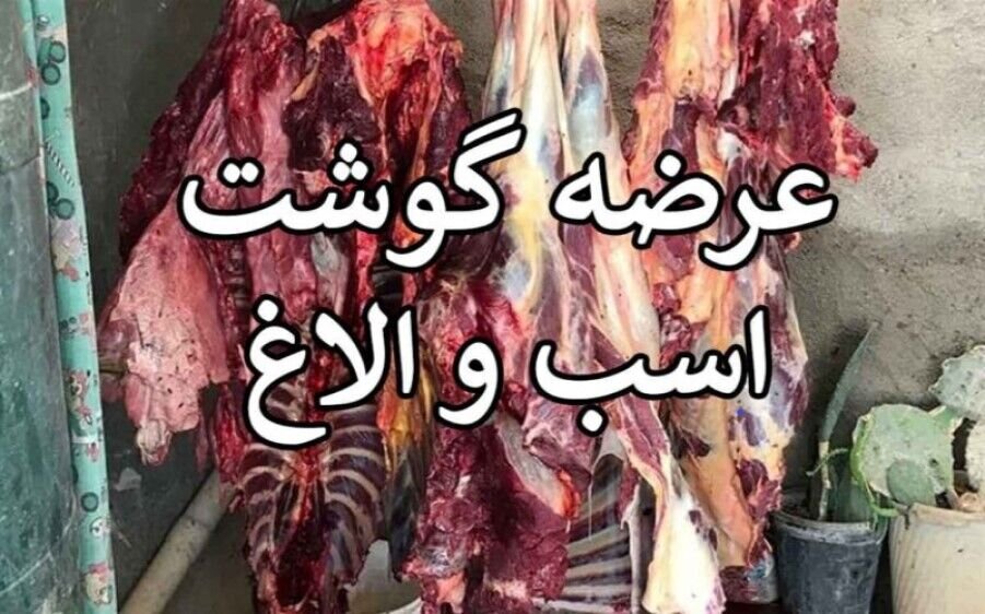 کشف ۲۵۴ کیلوگرم گوشت حیوانات تک‌سمی در جنوب تهران