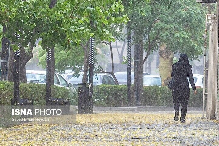 رگبار در شمال و وزش باد شدید در غرب و جنوب تهران