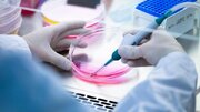 تعداد محصولات پزشکی بازساختی از یک به ۱۸ رسید