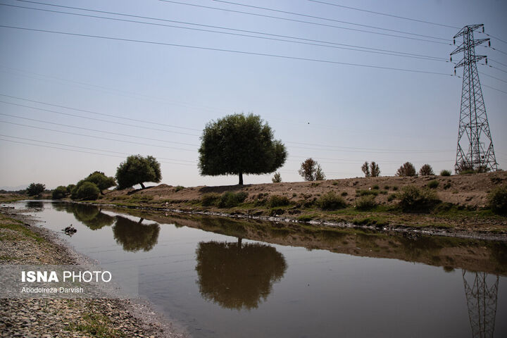 زاینده رود*