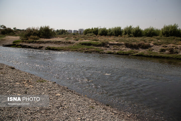 زاینده رود*