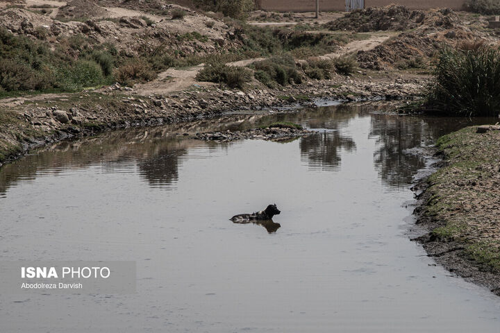 زاینده رود*