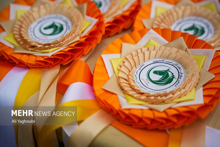 اسب کاسپین