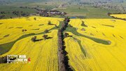 آغاز بهار در استرالیا