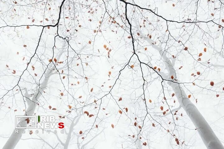 مسابقه عکاسی