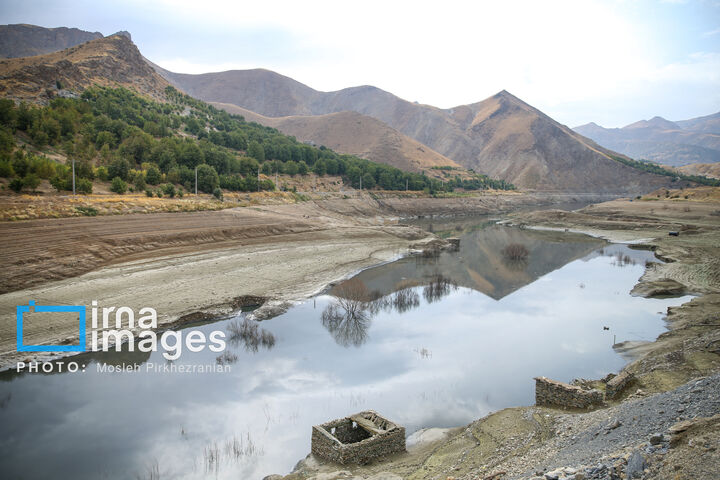 گلی