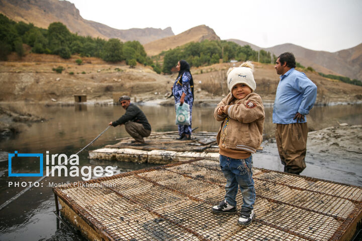 گلی