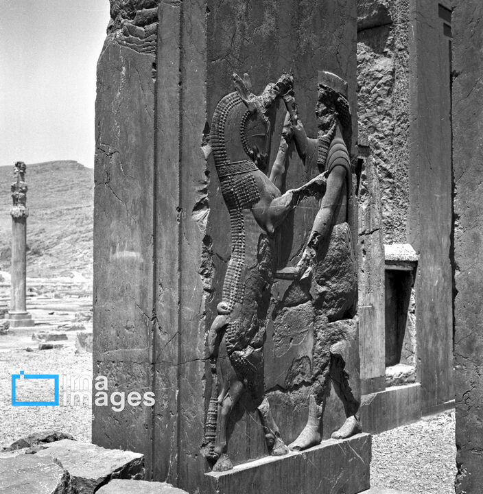 تخت جمشید60