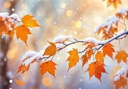 بارش باران و برف پاییزی در برخی مناطق