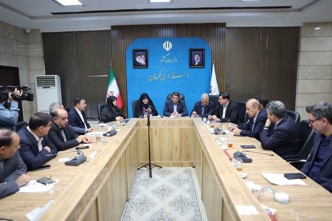 استفاده از تمامی ظرفیت‌ها برای توسعه کارآفرینی و خود اشتغالی ایثارگران