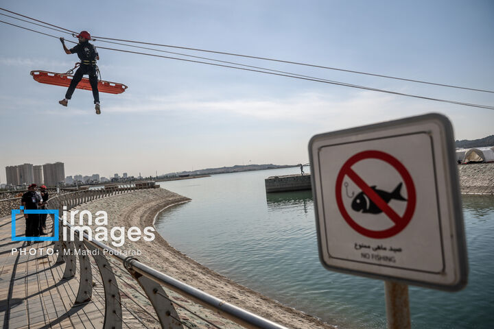مانور سیل