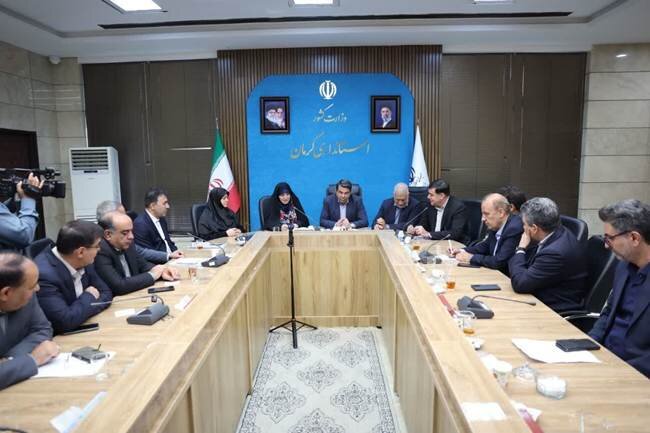 استفاده از تمامی ظرفیت‌ها برای توسعه کارآفرینی و خود اشتغالی ایثارگران