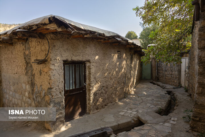 ابشار بیشه