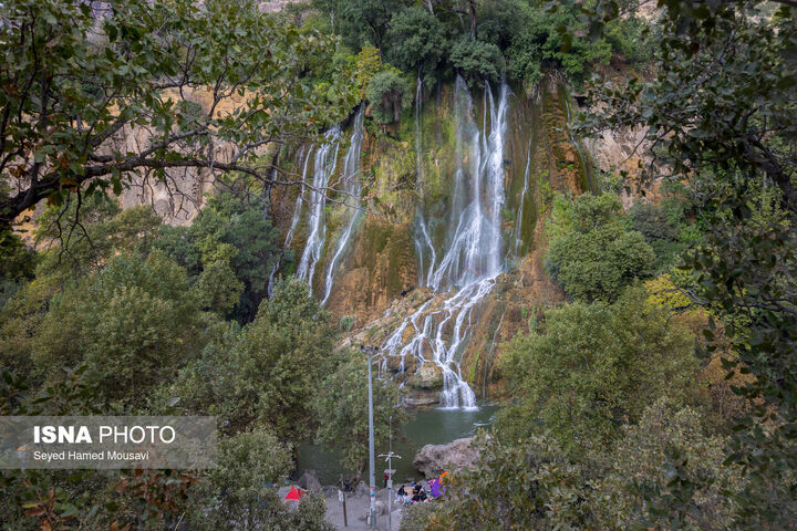 ابشار بیشه