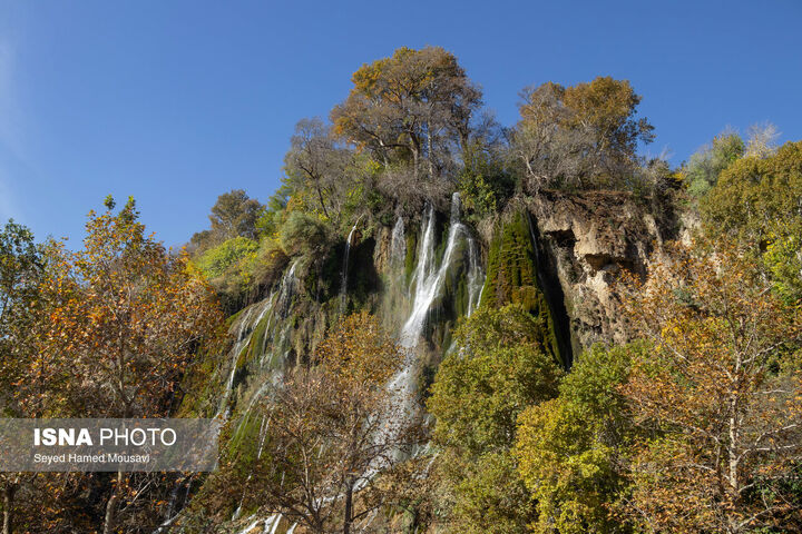 ابشار بیشه
