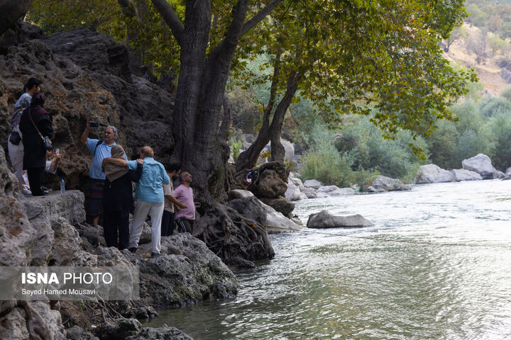 ابشار بیشه