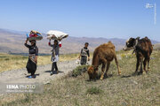 عکس/ زندگی زنان روستایی و عشایری اهر