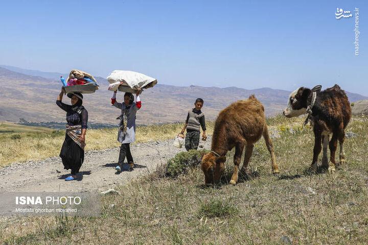 عکس/ زندگی زنان روستایی و عشایری اهر