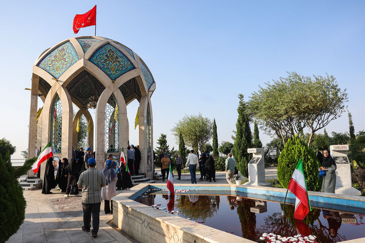 دانشگاه*