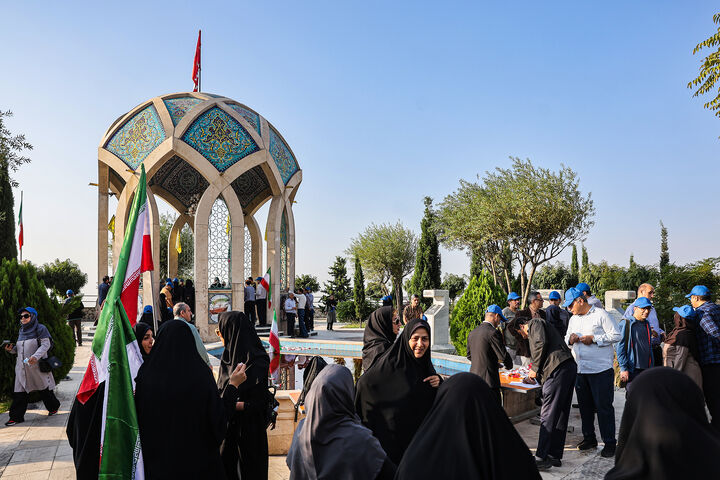 دانشگاه*
